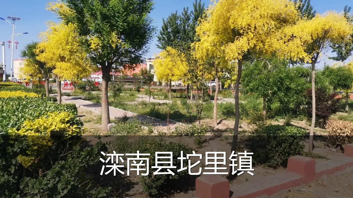 滦南县坨里镇