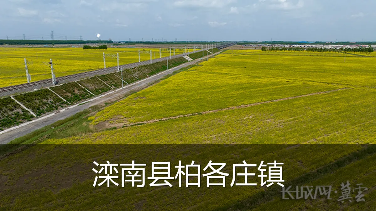 滦南县柏各庄镇